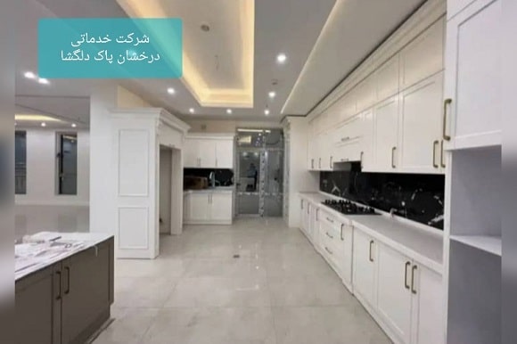 شرکت درخشان پاک دلگشا