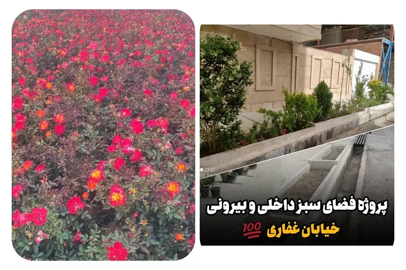 گلخانه من