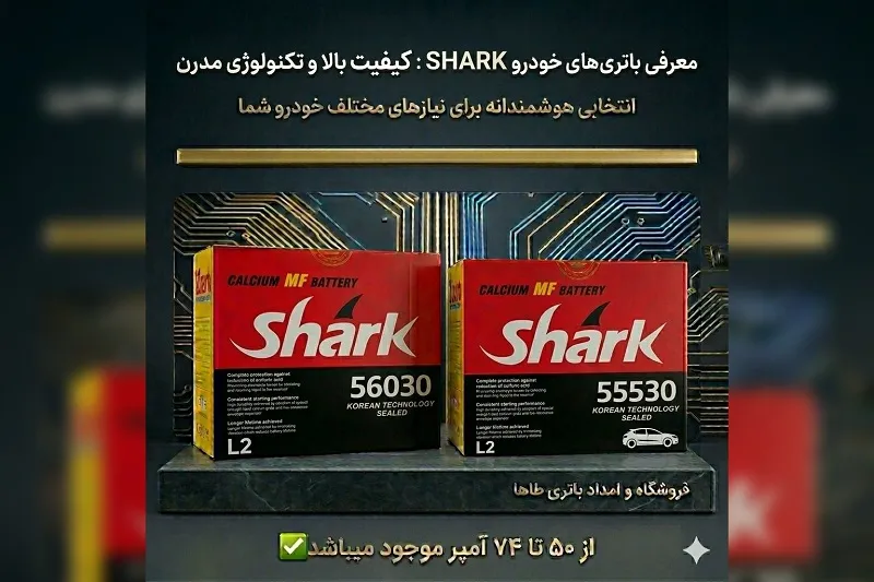 فروشگاه و امداد باتری طاها در بندرانزلی 6