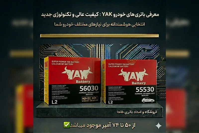 فروشگاه و امداد باتری طاها در بندرانزلی 7