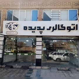 اتوگالری پدیده