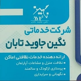 شرکت خدماتی در صدرا