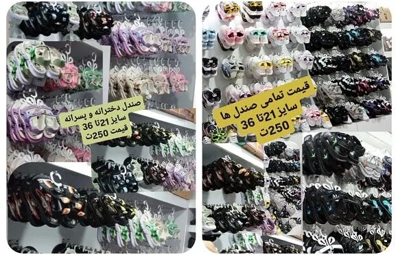 شاپرک