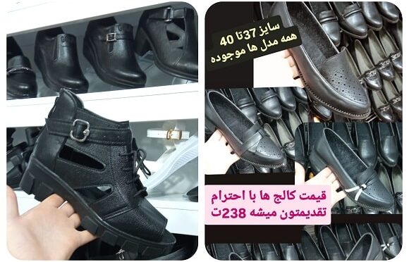 شاپرک15