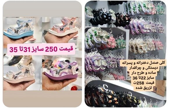 شاپرک16