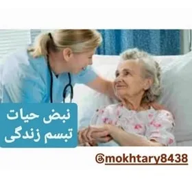 نبض حیات