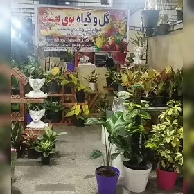 گل و گیاه بوی بهشت