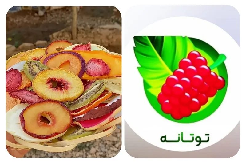 میوه خشک توتانه