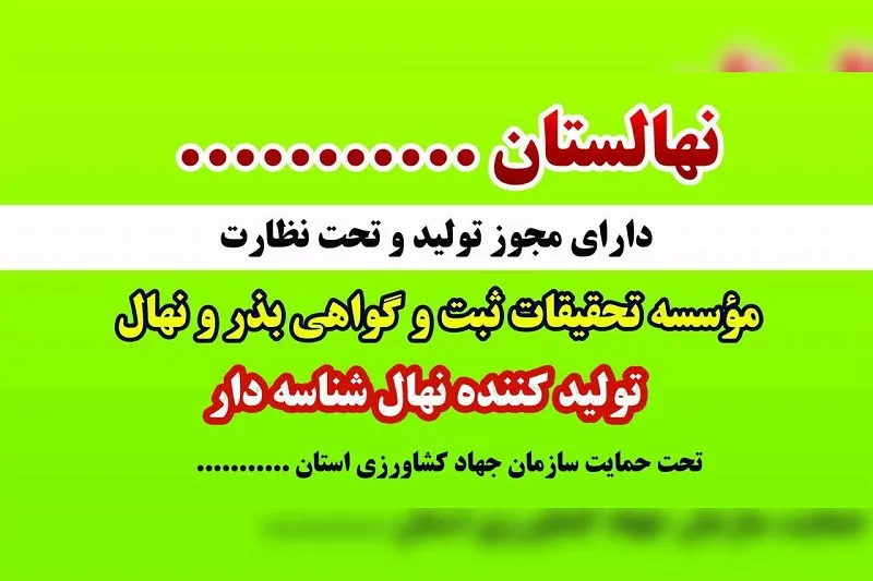 نهالستان پسته نوغانی در تربت جام2